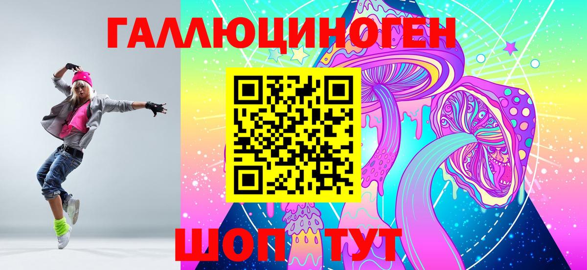 Псилоцибиновые грибы Cubensis Муравленко