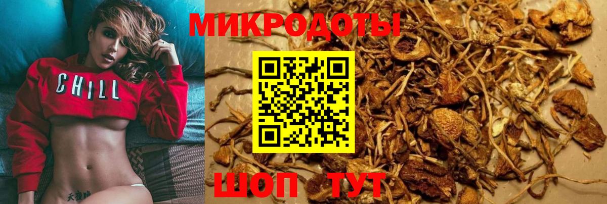 где найти   Галлюциногенные грибы мицелий  Вход с VPN  Муравленко 